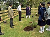 記念植樹1