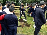 記念植樹風景