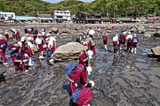 橋杭岩見学2