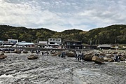 橋杭岩見学2