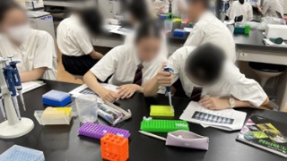 実験の様子、慣れないピペットマンに苦戦①