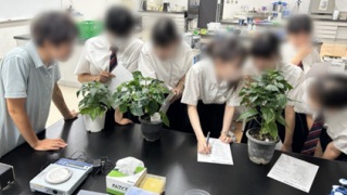 複数のトウガラシの品種の同定に挑戦