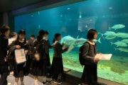 京大白浜水族館